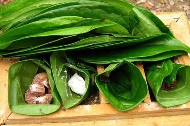 Budaya Kuliner Nusantara: Lebih dari Sekadar Cita Rasa, Warisan yang Menginspirasi