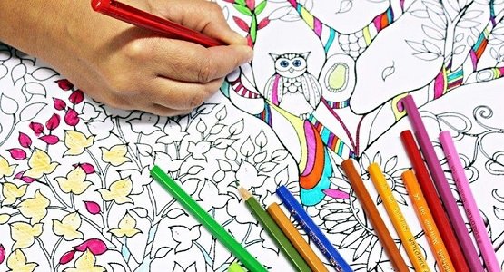 Cara Mengajak Anak Suka Olahraga: Membangun Kebiasaan Sehat Sejak Dini
