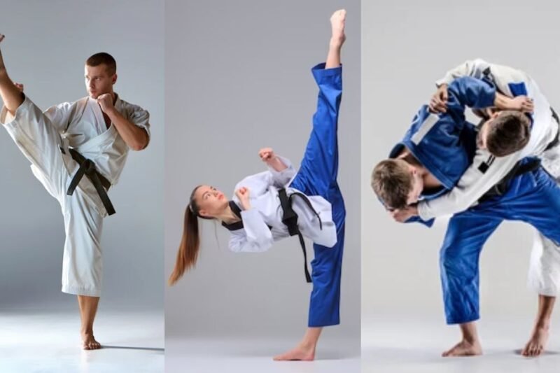 Karate vs. Taekwondo: Duel Dua Seni Bela Diri Populer