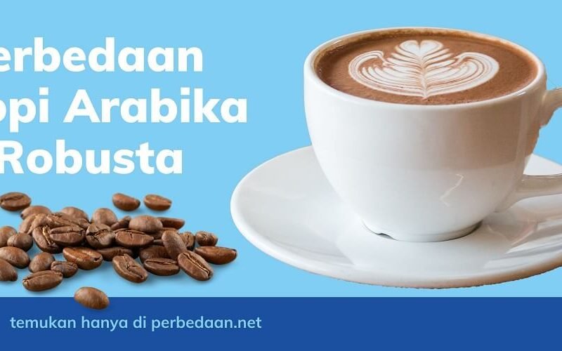 Perbedaan Kopi Arabika dan Robusta: Panduan Lengkap untuk Para Pecinta Kopi