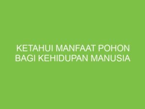 Pohon: Pilar Kehidupan yang Sering Terlupakan