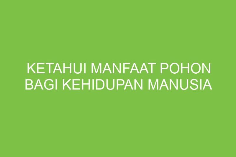 Pohon: Pilar Kehidupan yang Sering Terlupakan
