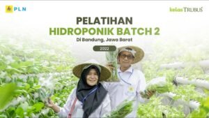 Tentu, mari kita bahas cara bertani di lahan sempit dengan artikel yang informatif dan mudah dipahami.