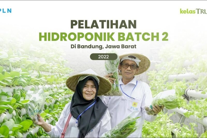 Tentu, mari kita bahas cara bertani di lahan sempit dengan artikel yang informatif dan mudah dipahami.