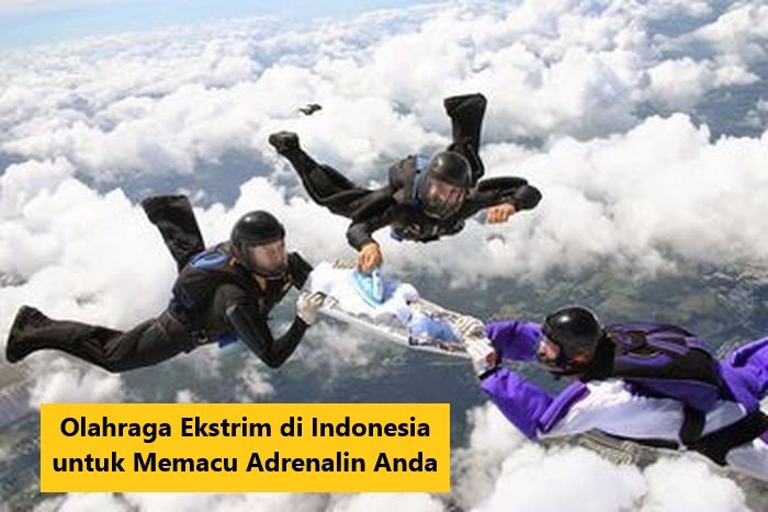 Tentu, mari kita telusuri dunia yang memacu adrenalin ini!