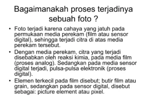 Memulai Petualangan Visual: Panduan Lengkap Fotografi untuk Pemula