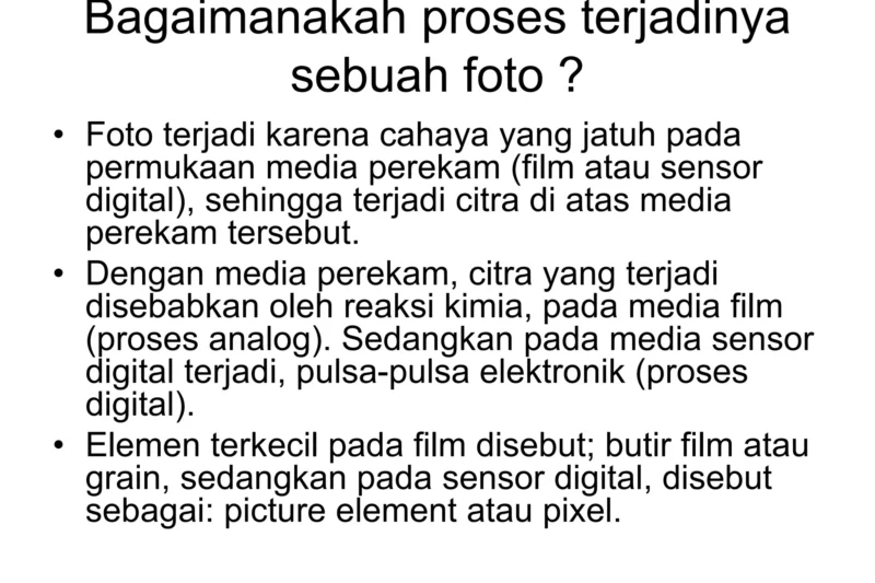 Memulai Petualangan Visual: Panduan Lengkap Fotografi untuk Pemula