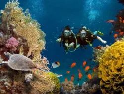 Indonesia: Surga Bawah Laut yang Memukau, Jelajahi Spot Snorkeling Terbaiknya!