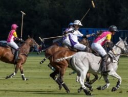 Olahraga Elite: Menjelajahi Dunia Olahraga Paling Mahal