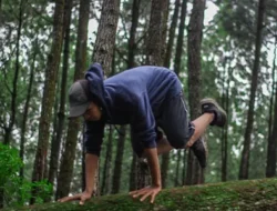 Parkour: Menaklukkan Rintangan dengan Aman dan Bertanggung Jawab