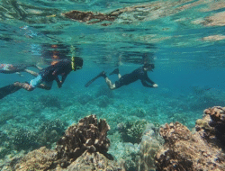 Bunaken, Destinasi Laut Tropis yang Memesona