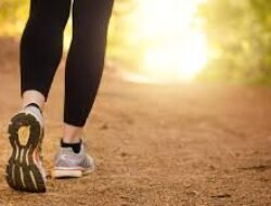 Manfaat Berjalan Kaki Setiap Pagi Untuk Kesehatan Paru Serta Melancarkan Aliran Darah Tubuh